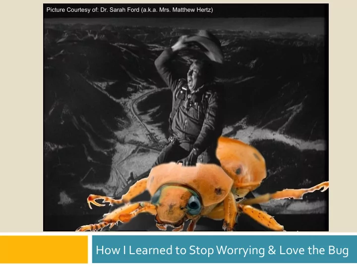 how i learned to stop worrying love the bug how to write