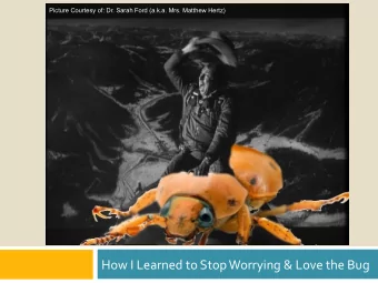 How I Learned to Stop Worrying &amp; Love the Bug  How To Write Tests  Cannot prove there are no