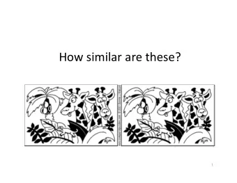 How similar are these?  1 Whats the Problem?  Finding similar items with respect to some