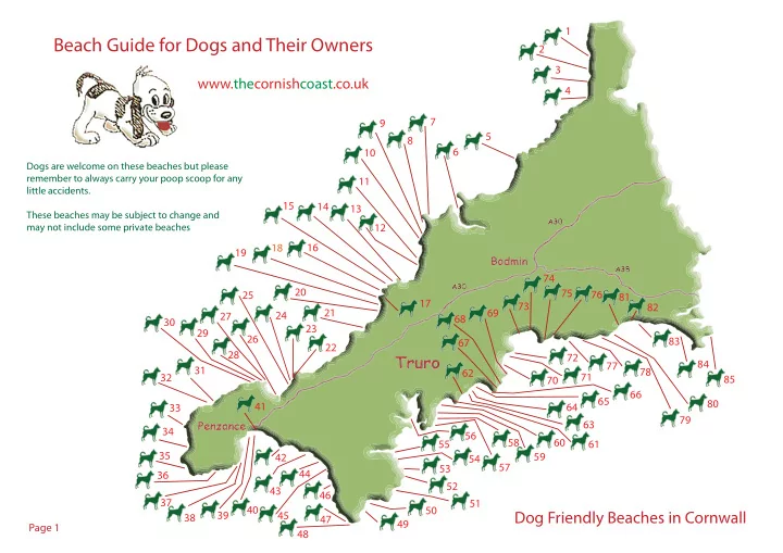 beach guide for dogs and their owners