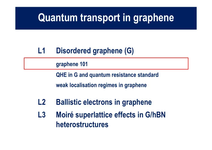quantum transport in graphene