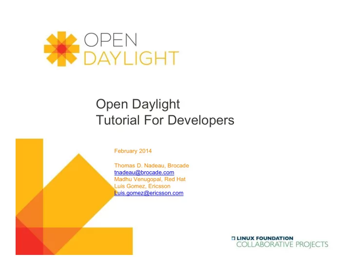 open daylight tutorial for developers