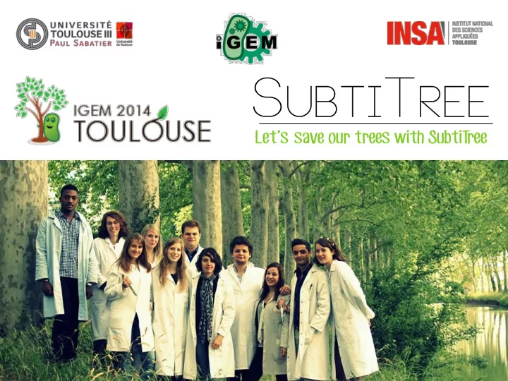 let s save our trees with subtitree opening synthetic