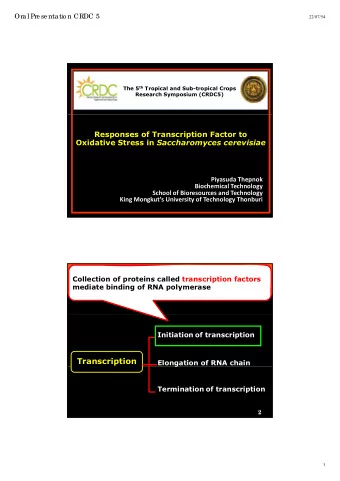 Introduction  Collection of proteins called transcription factors  mediate binding of RNA