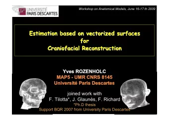 Estimation based  based on  on vectorized  vectorized surfaces  surfaces  Estimation  for  for