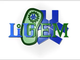 - an antibody based biosensor    HEWL, a suitable first  candidate    Easily customized for