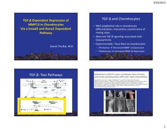 TGF- and Chondrocytes  TGF- Dependent Repression of  MMP13 in Chondrocytes  Well established