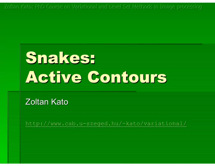 snakes snakes snakes snakes active contours active