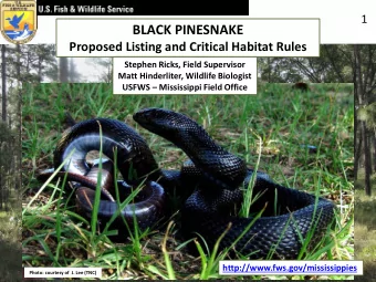 BLACK PINESNAKE  Proposed Listing and Critical Habitat Rules  Stephen Ricks, Field Supervisor  Matt