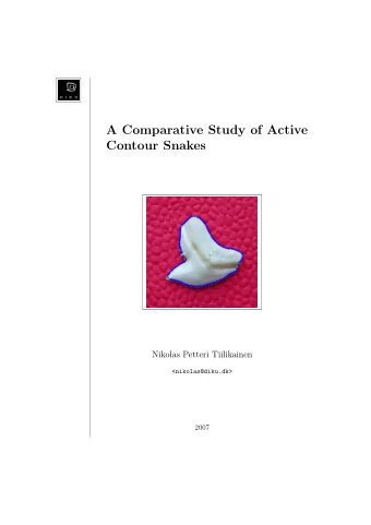 A Comparative Study of Active  Contour Snakes  Nikolas Petteri Tiilikainen  &lt;nikolas@diku.dk&gt;