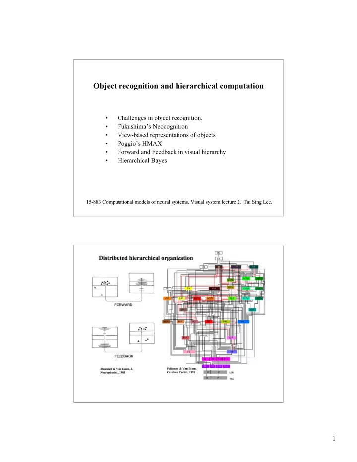 object recognition and hierarchical computation