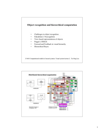 Object recognition and hierarchical computation    Challenges in object recognition.