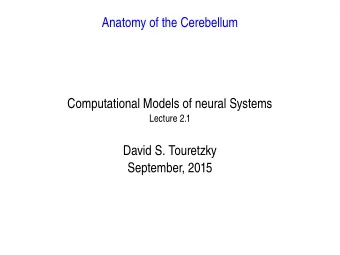 Anatomy of the Cerebellum  Computational Models of neural Systems  Lecture 2.1  David S. Touretzky