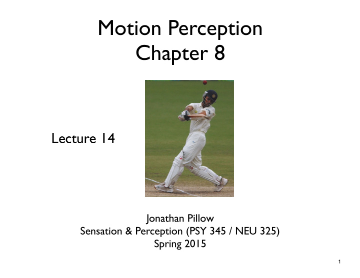 motion perception chapter 8
