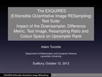 The EXQUIRES  (EXtensible QUantitative Image RESampling)  Test Suite:  Impact of the Downsampler,