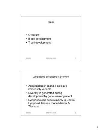 Overview   B cell development   T cell development  2/1/2005  BIOS 486A / 586A  1