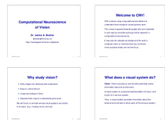 Welcome to CNV!  Computational Neuroscience  CNV is about using computational simulations to