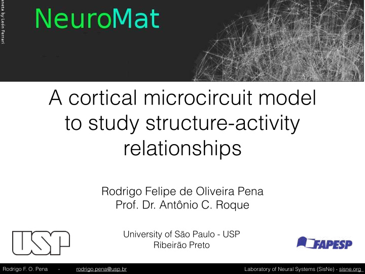 a cortical microcircuit model to study structure activity