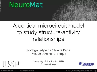 A cortical microcircuit model  to study structure-activity  relationships  Rodrigo Felipe de
