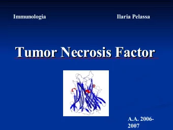 Tumor Necrosis Factor  Tumor Necrosis Factor  A.A. 2006-  2007 TNF Receptor Family  TNF Receptor