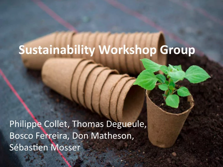 sustainability workshop group