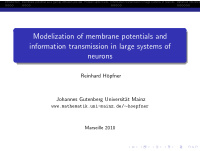 modelization of membrane potentials and information