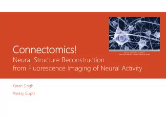 Connectomics!  Neurons in the brain  illustration  Image credit: Benedict Campbell. Welcome