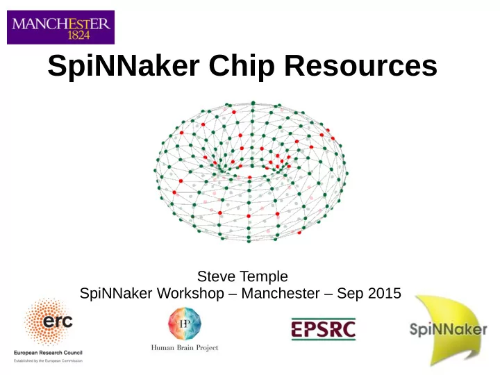 spinnaker chip resources