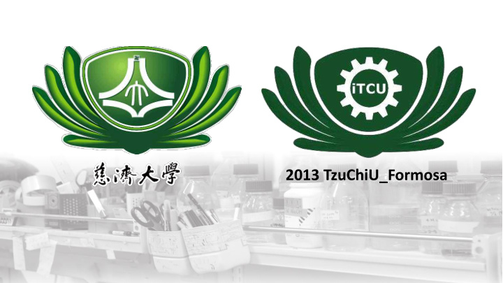 2013 tzuchiu formosa team team