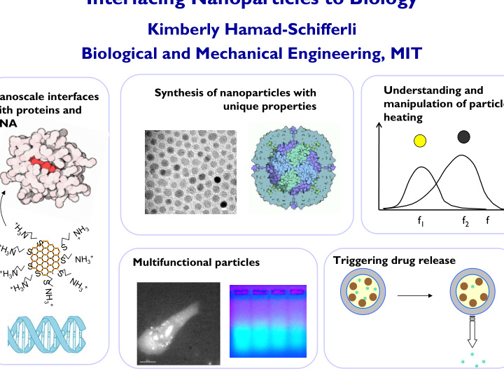 interfacing nanoparticles to biology