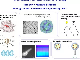 Interfacing Nanoparticles to Biology  Kimberly Hamad-Schifferli  Biological and Mechanical