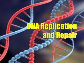 DNA Replication  and Repair  http://hyperphysics.phy-astr.gsu.edu/hbase/organic/imgorg/cendog.gif