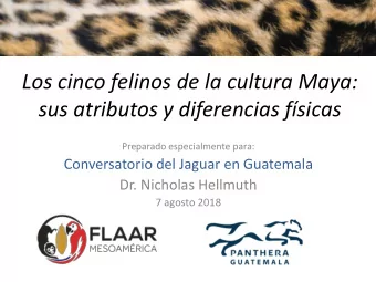 Los cinco felinos de la cultura Maya:  sus atributos y diferencias fsicas  Preparado