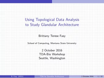 Using Topological Data Analysis  to Study Glandular Architecture  Brittany Terese Fasy  School of