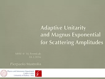 for Scattering Amplitudes  MHV @ 30, FermiLab  18.3.2016  Pierpaolo Mastrolia  Physics and