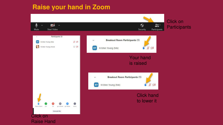 raise your hand in zoom