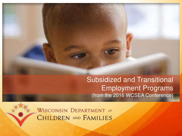 subsidized and transitional employment programs