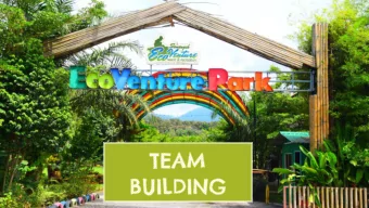 Villa    Kampung Huts    Hostel / Dorms    Food Hub (Thai, Western, Kopitiam)    Events