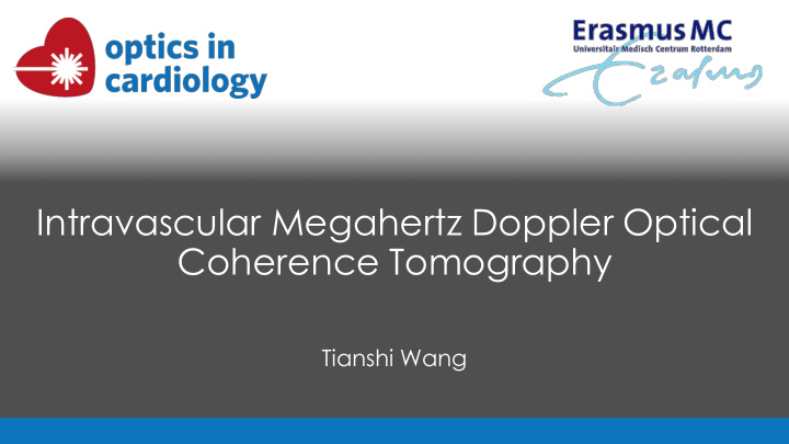 intravascular megahertz doppler optical coherence