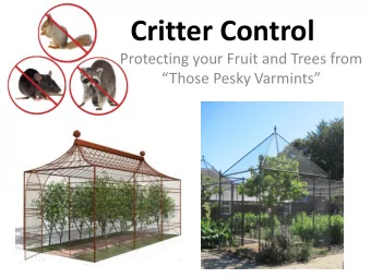 Critter Control  Protecting your Fruit and Trees from  Those Pesky Varmints  Critter Control