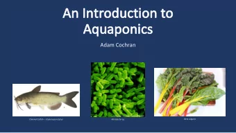 An Introduction to  Aquaponics  Adam Cochran  Beta vulgaris Channel Catfish  Ictalurus punctatus