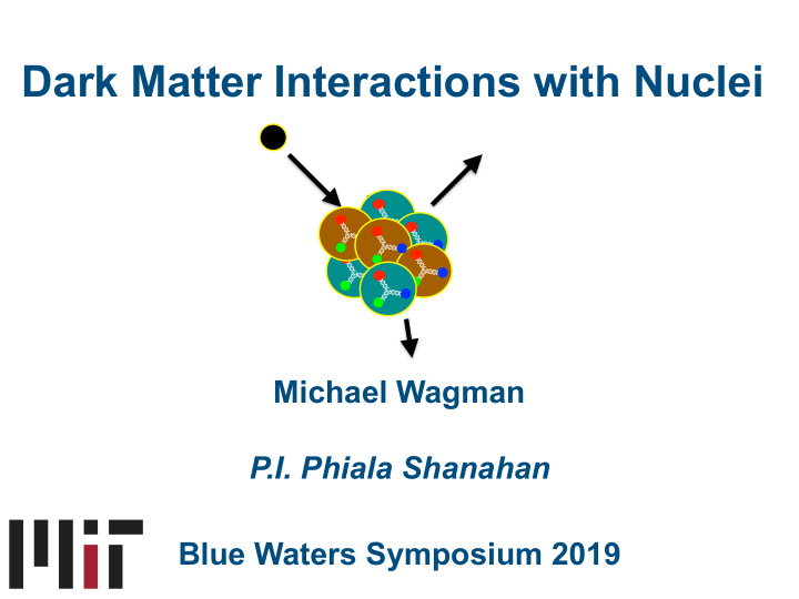 dark matter interactions with nuclei
