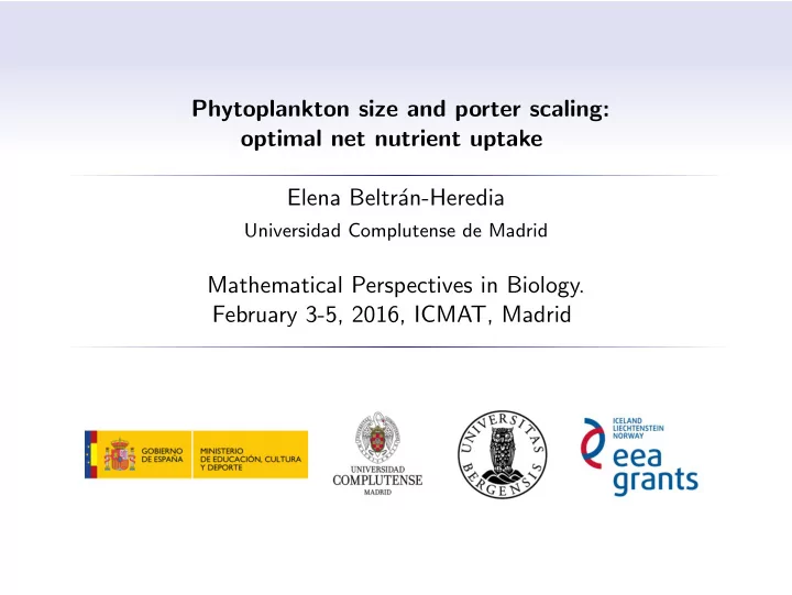 phytoplankton size and porter scaling optimal net