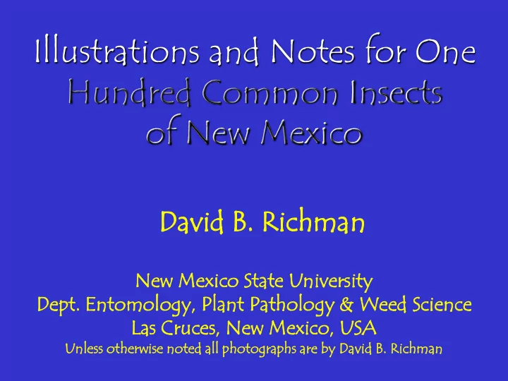 hundred common insects