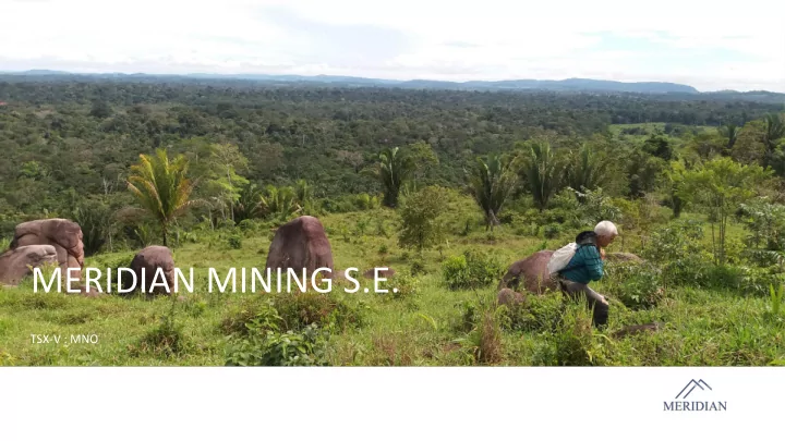 meridian mining s e