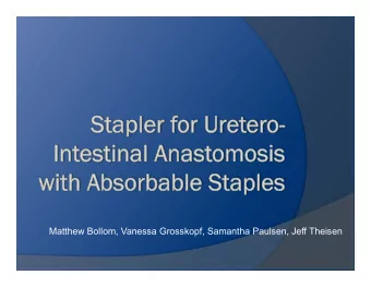 Matthew Bollom, Vanessa Grosskopf, Samantha Paulsen, Jeff Theisen  Ov  Over  ervi  view  w