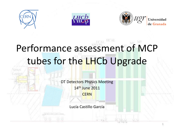 performance assessment of mcp tubes for the lhcb upgrade