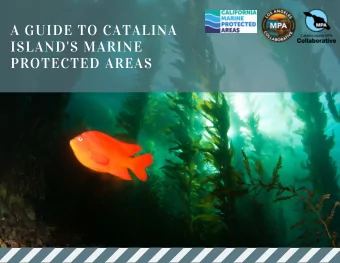 A GUIDE TO CATALINA  ISLAND'S MARINE  PROTECTED AREAS  Oceans in Crisis  Our marine ecosystems