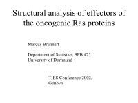 structural analysis of effectors of the oncogenic ras
