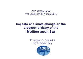Impacts of climate change on the  biogeochemistry of the  Mediterranean Sea  P. Lazzari, G.